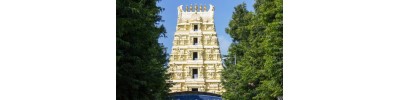 270. திருப்பருப்பதம் (ஸ்ரீசைலம்)